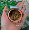Trà thân cây hoa lan ( trà thạch hộc tía hàng tinh tuyển)