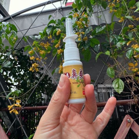  Xịt mũi phòng phong 20ml nội địa 