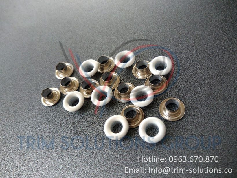 Mắt cáo, Mắt ngỗng - EYEO004