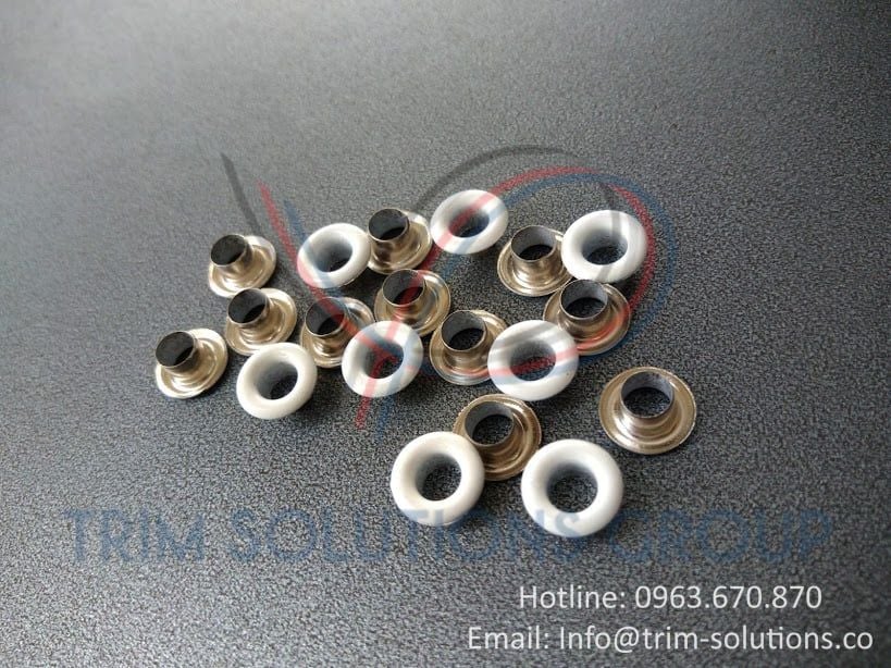 Mắt cáo, Mắt ngỗng - EYEO004
