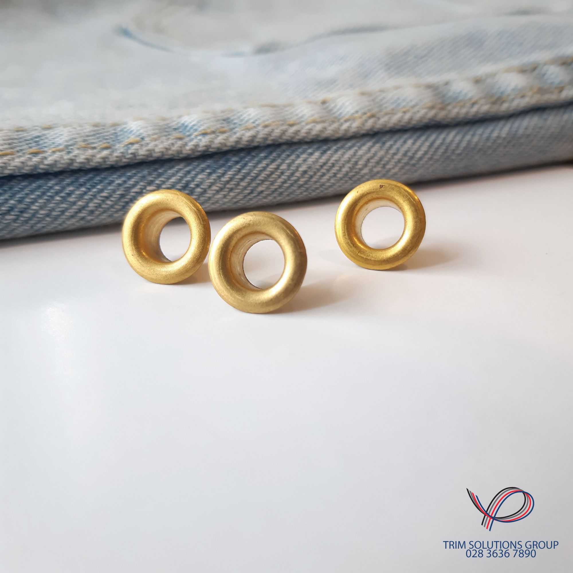 Mắt cáo, Mắt ngỗng - EYEN002