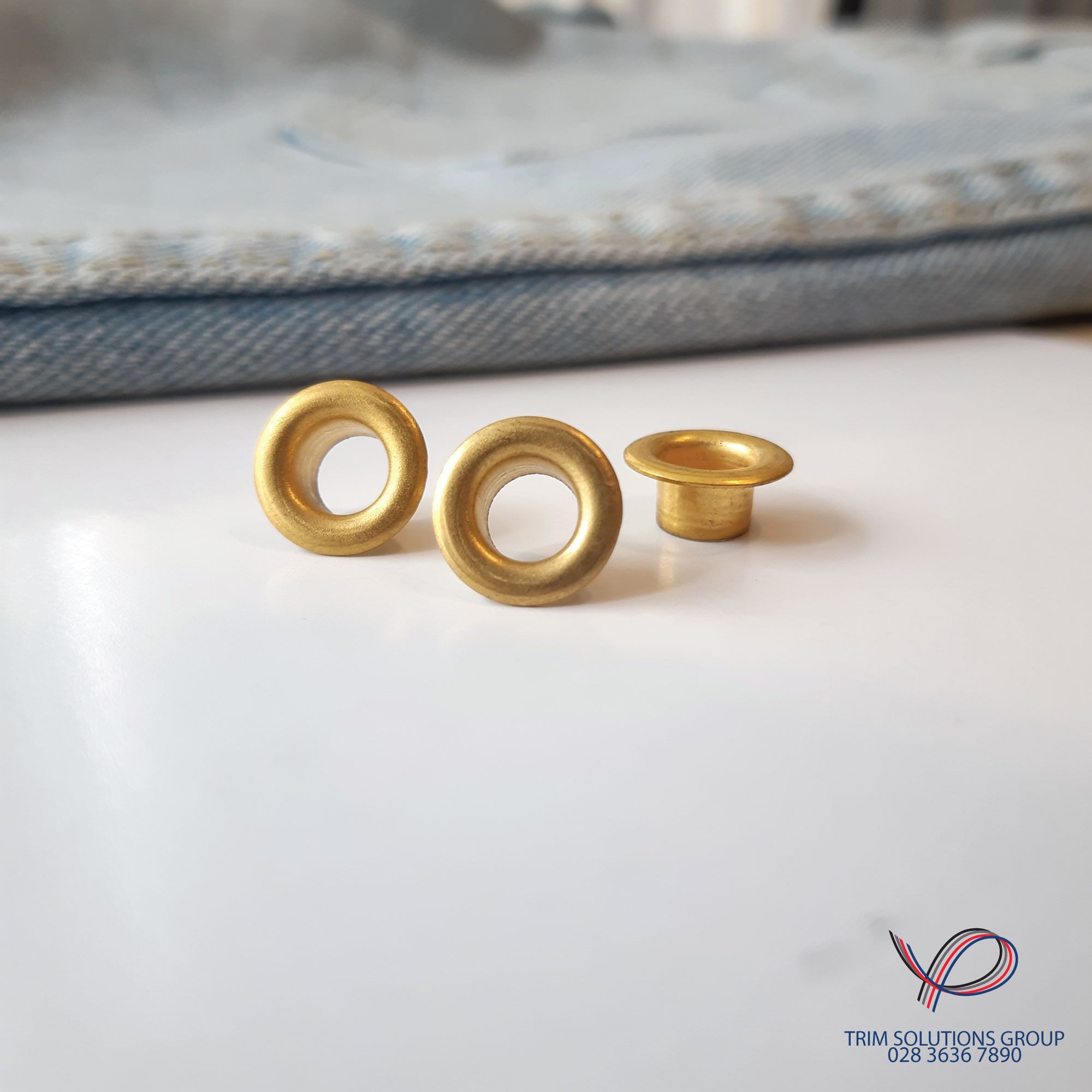 Mắt cáo, Mắt ngỗng - EYEN002