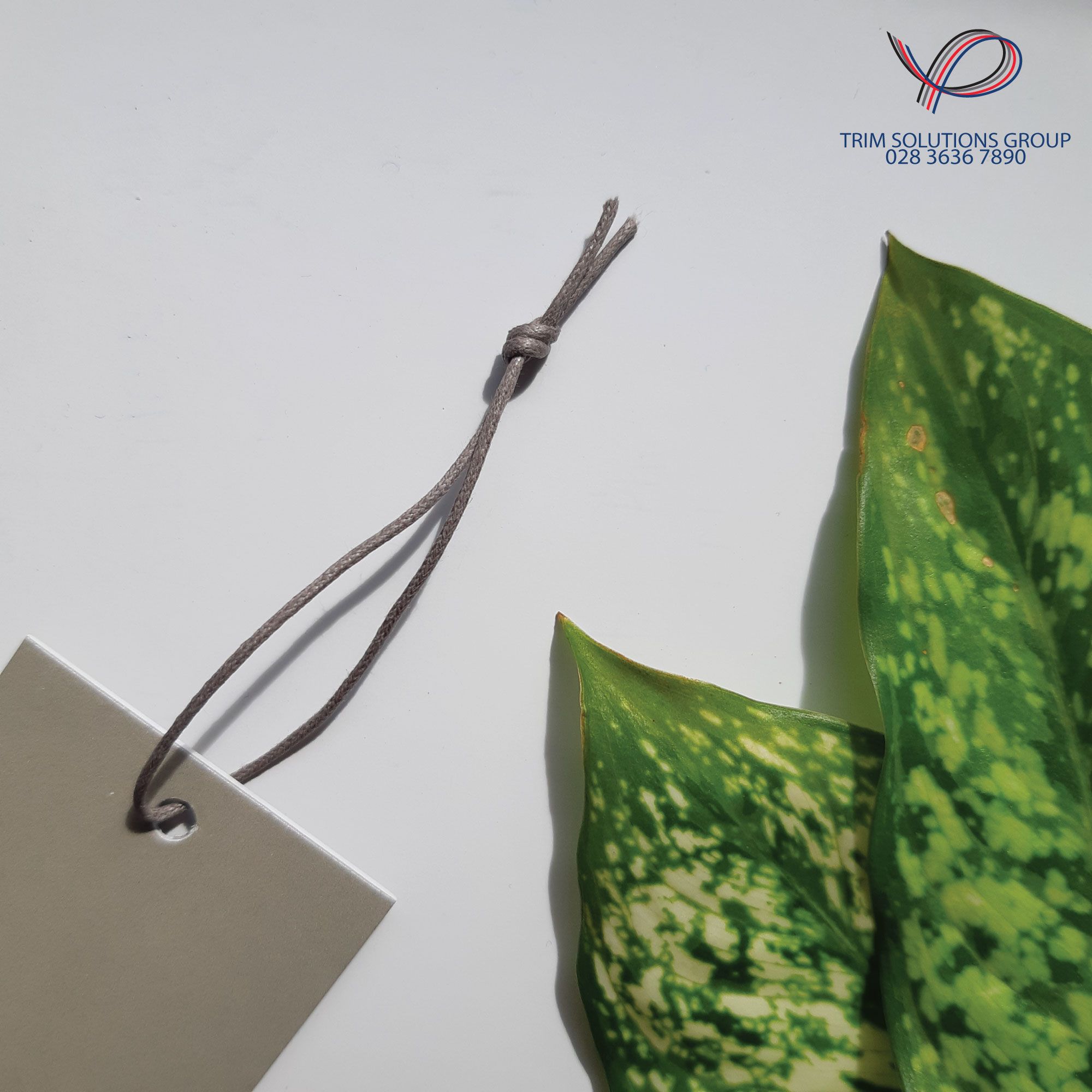 Dây treo thẻ bài - CDSN002