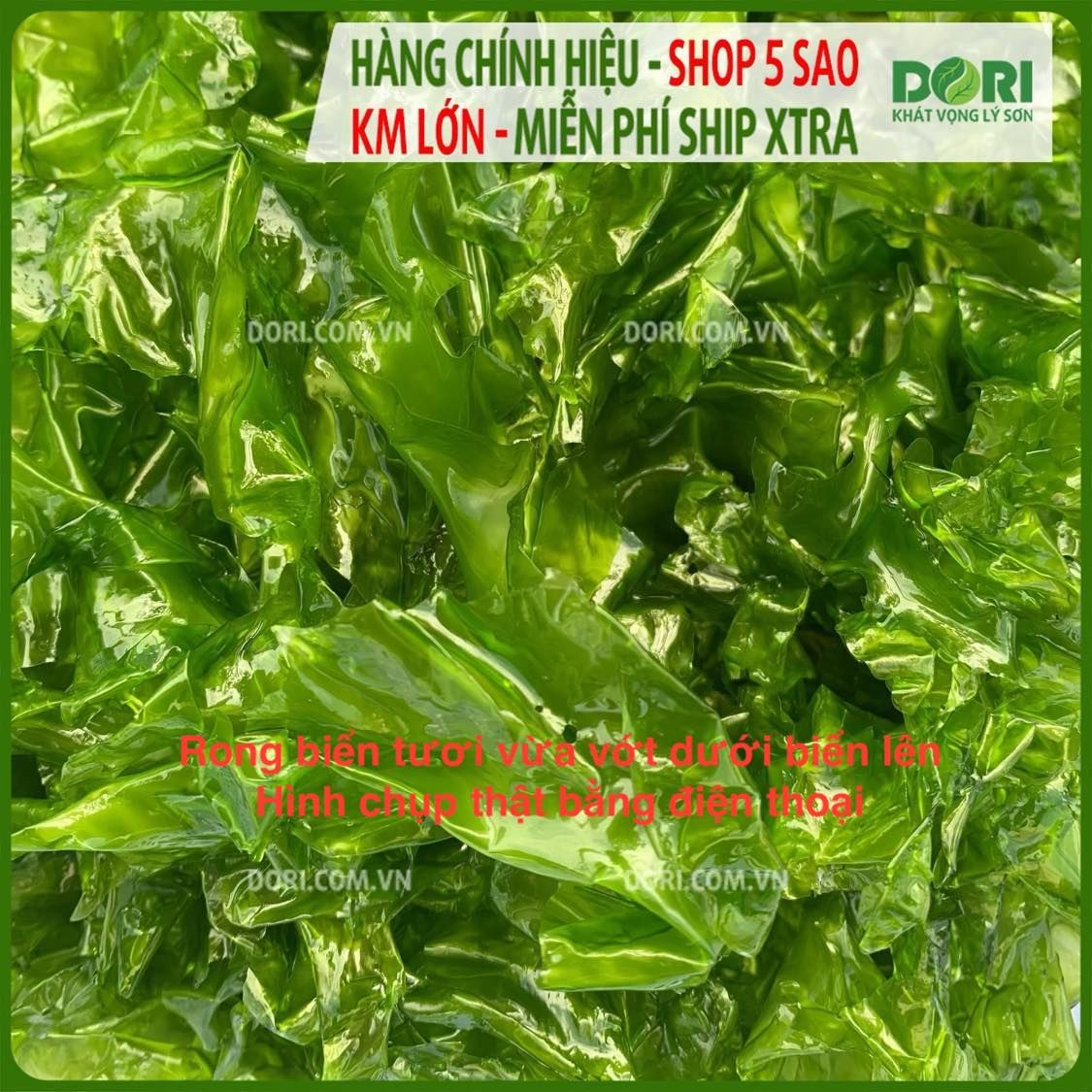 Rong biển xanh - Rong xà lách khô Dori Food - bổ sung khoáng chất và vitamin quý - Ulva Lactuca Dori Food