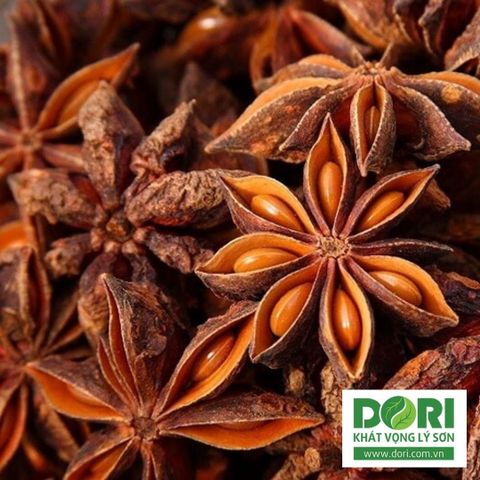  Hoa hồi sấy khô - Dori Thơm 70g - Gia vị khô - Star anise VietNamese spices 