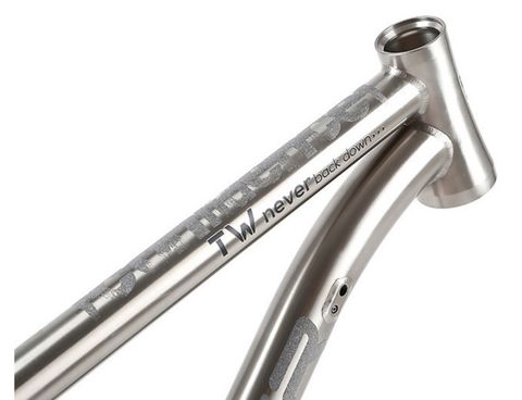  Khung sườn xe đạp MTB titanium Twitter Werner 27.5 inch 
