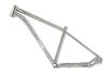 Khung sườn xe đạp MTB titanium Twitter Werner 29 inch