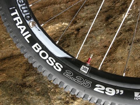  Vỏ xe đạp MTB WTB Trail Boss 29 2.25 TR 60TPI 