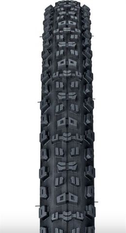  Vỏ Xe Đạp Maxxis Assegai 29 2.5 WT 3C MaxxTerra TR DH 