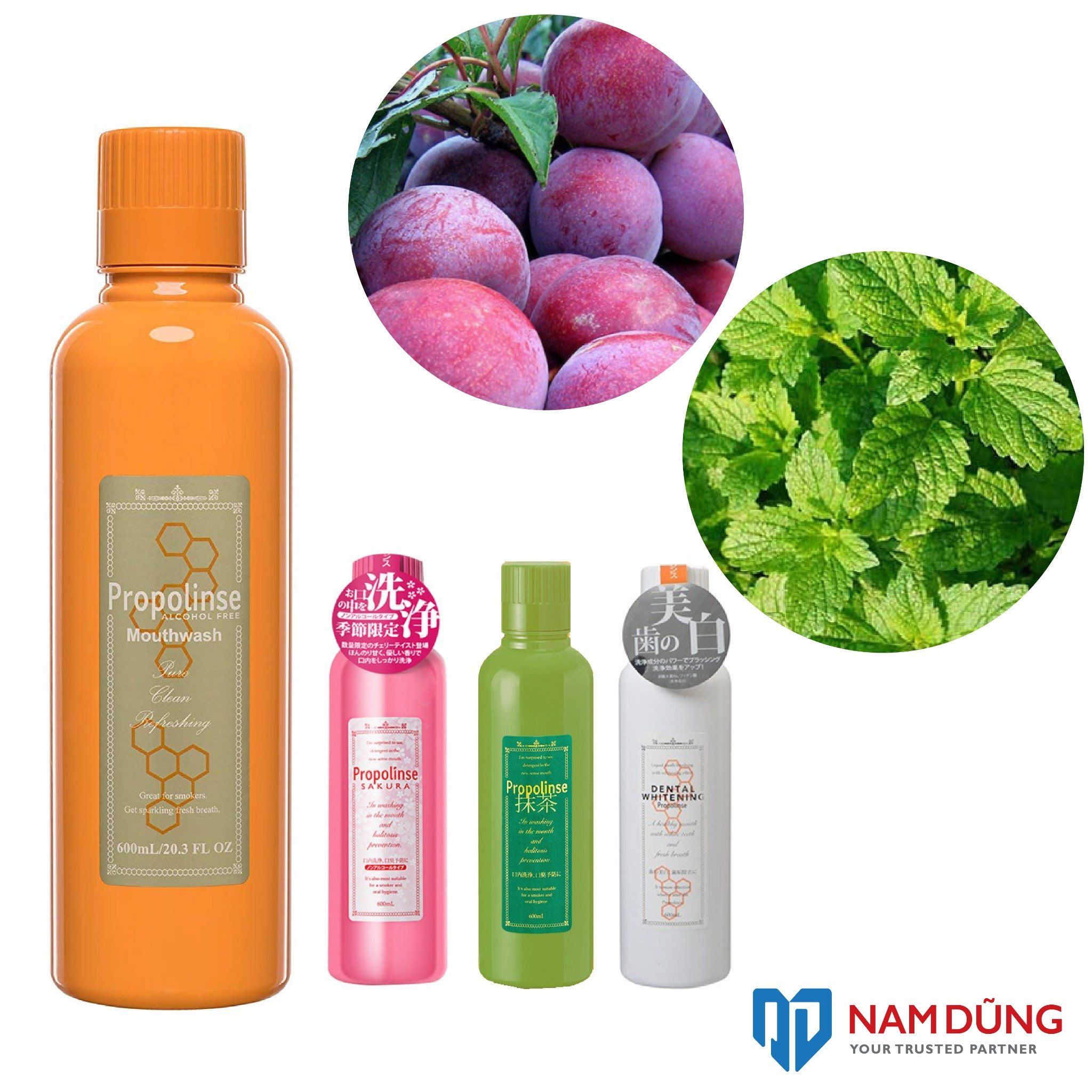 Nước súc miệng Propolinse chai vàng chiết xuất sáp ong ngăn ngừa mảng bám (600ml/chai)