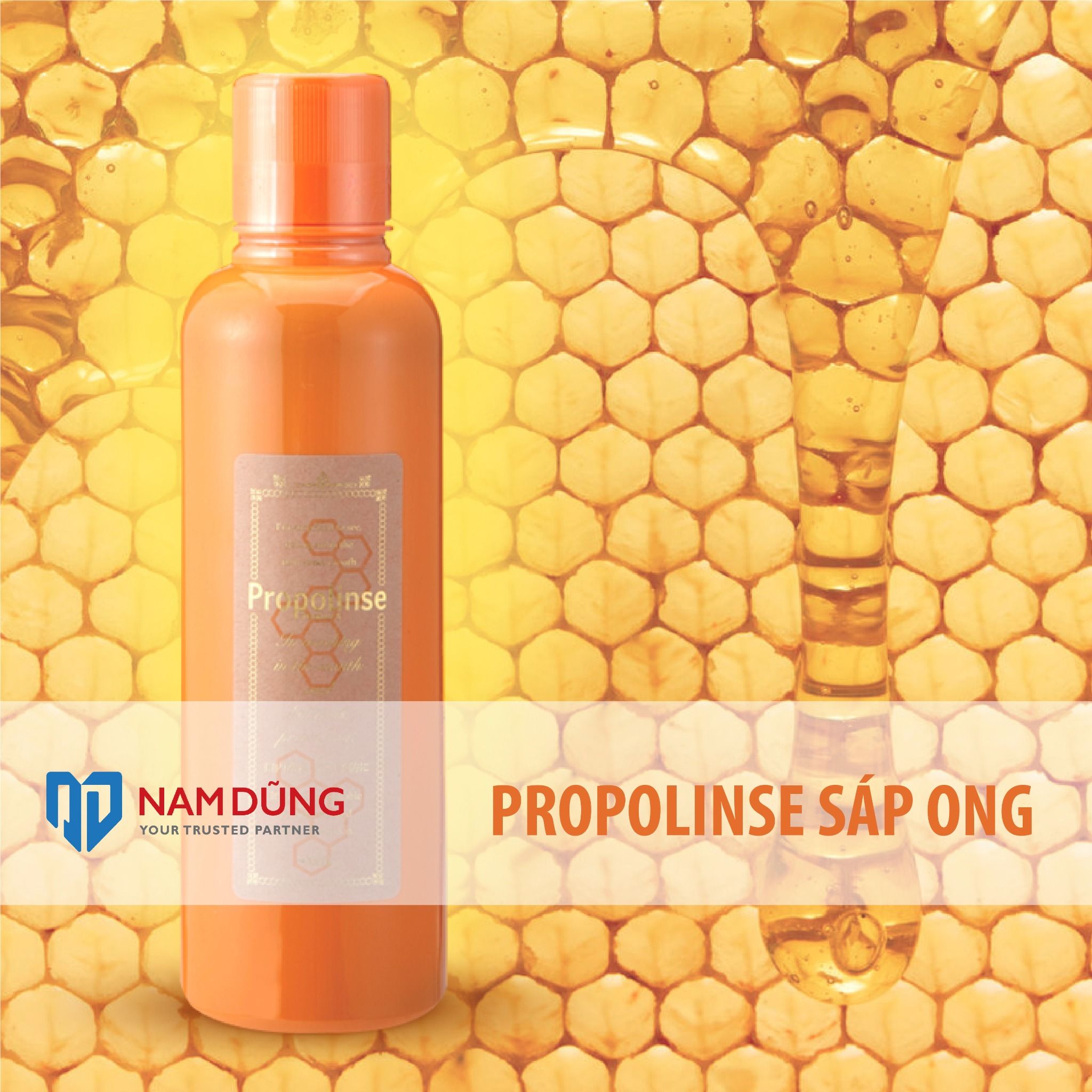  Nước súc miệng Propolinse Nhật Bản chai vàng chiết xuất sáp ong ngăn ngừa mảng bám (600ml/chai) 