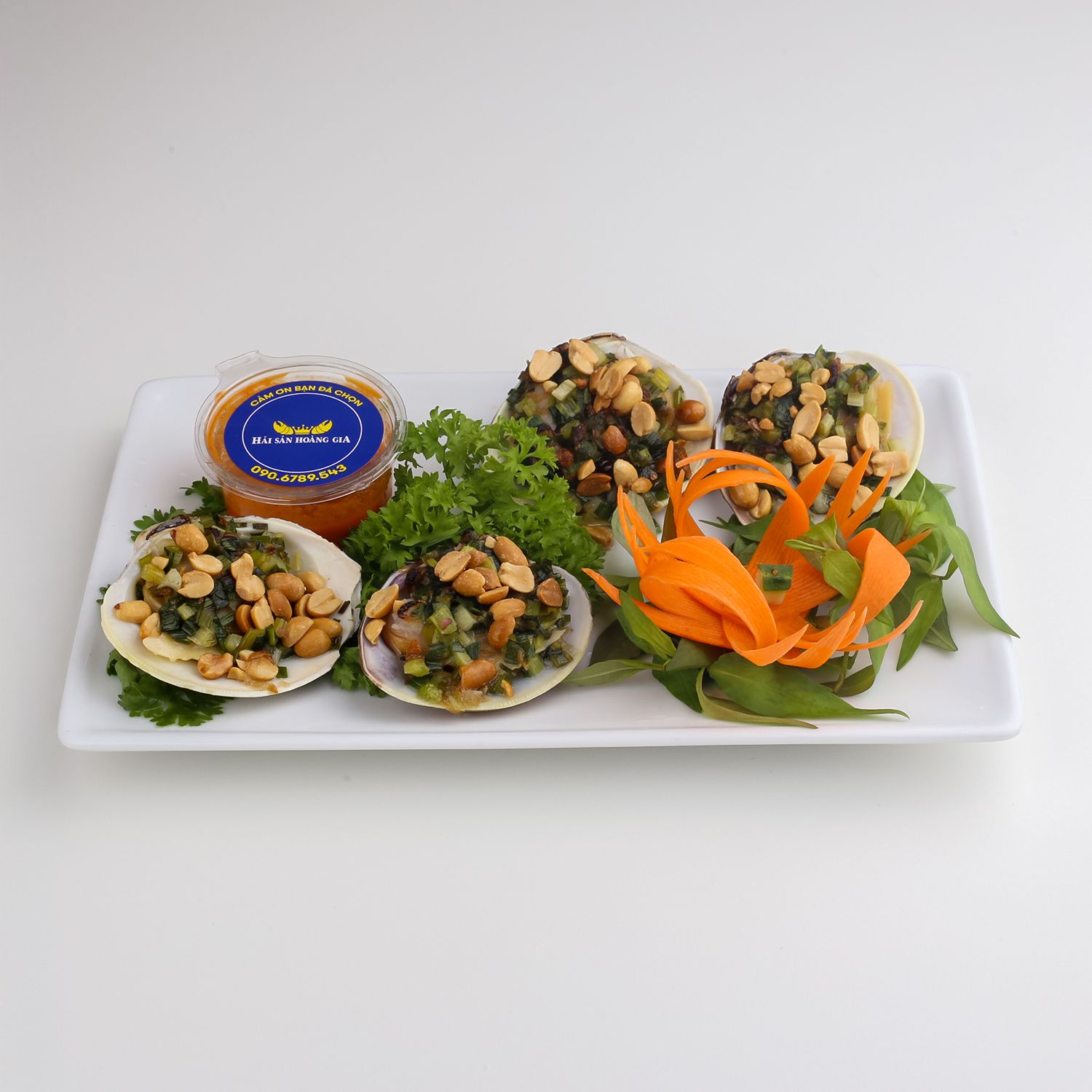 Ngao Hồng (Ngao sữa) - Sống