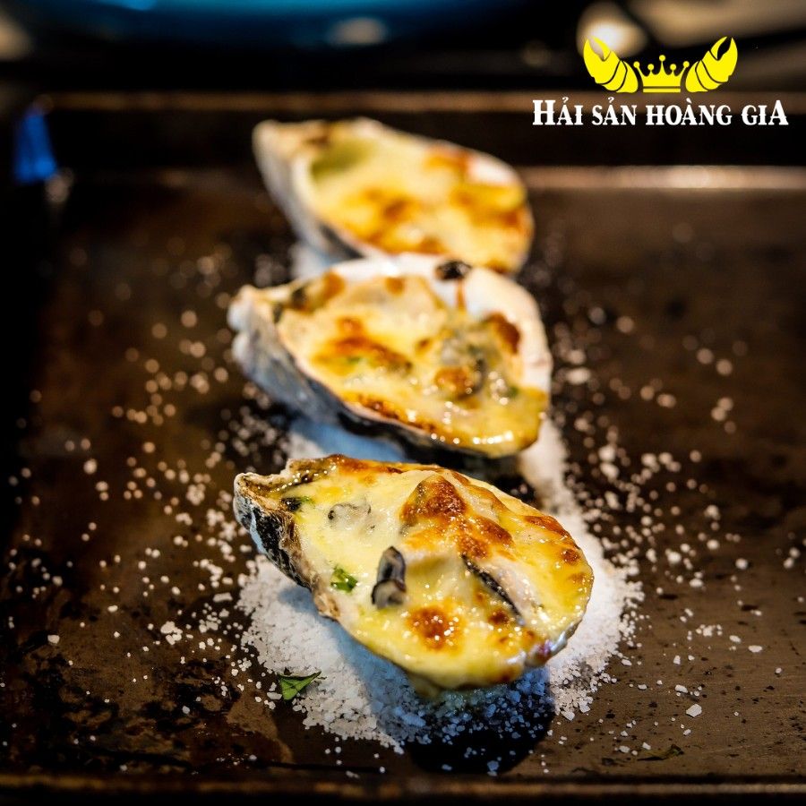 Hàu Giống Pháp - Sống