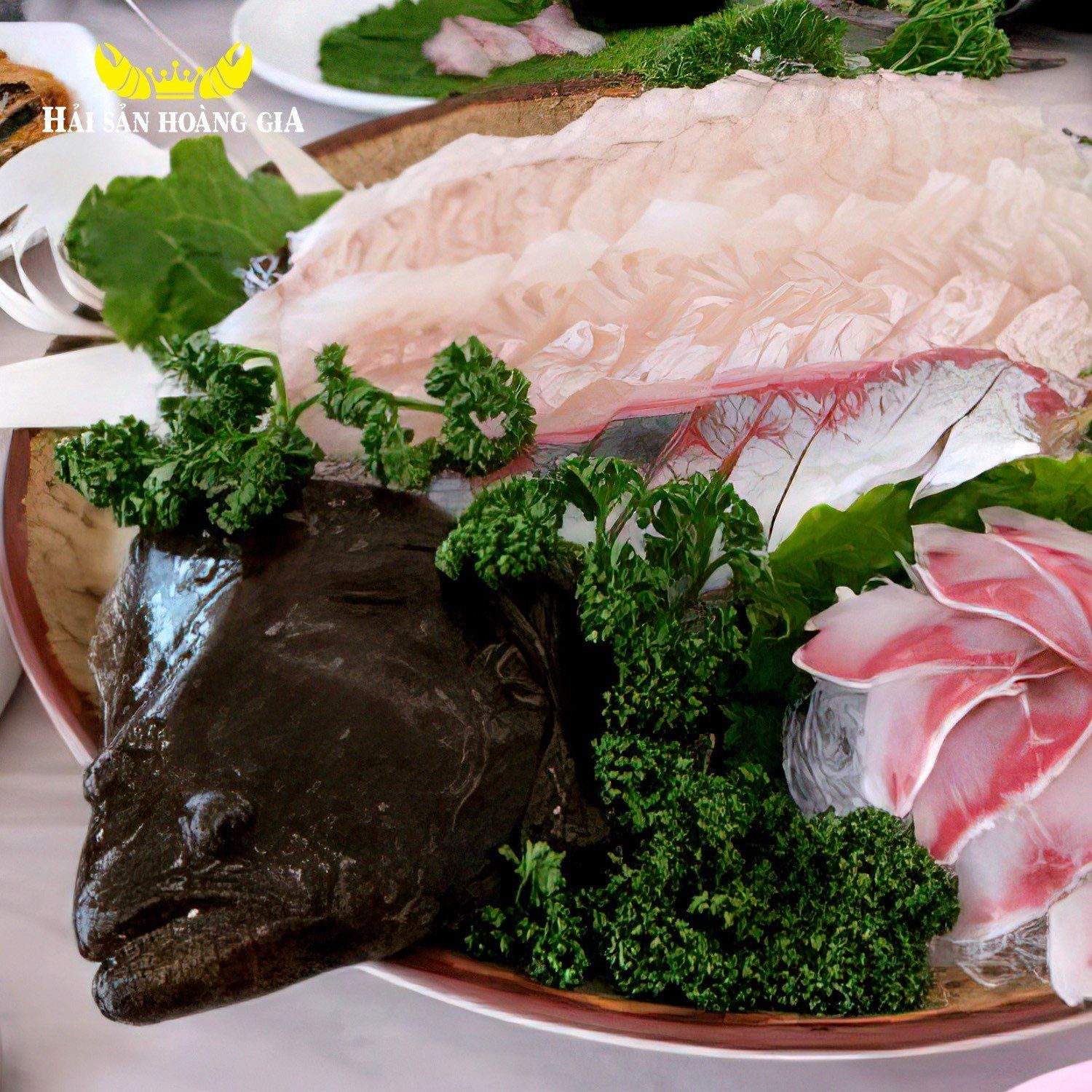 Cá Bơn Nâu Hàn Quốc - Sống