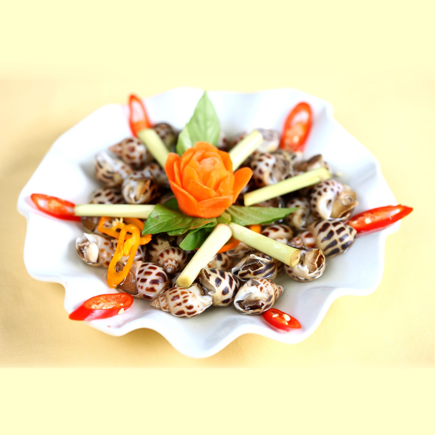 Ốc Hương Sữa (Size 50-80 Con/kg) - Sống