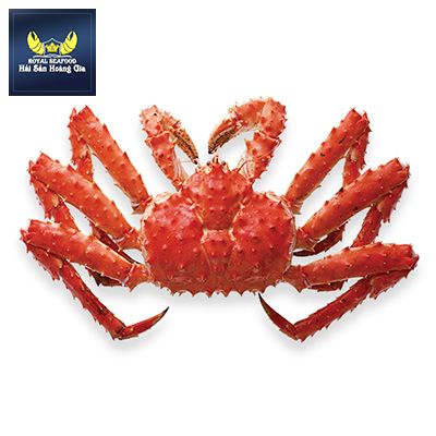  KING CRAB 