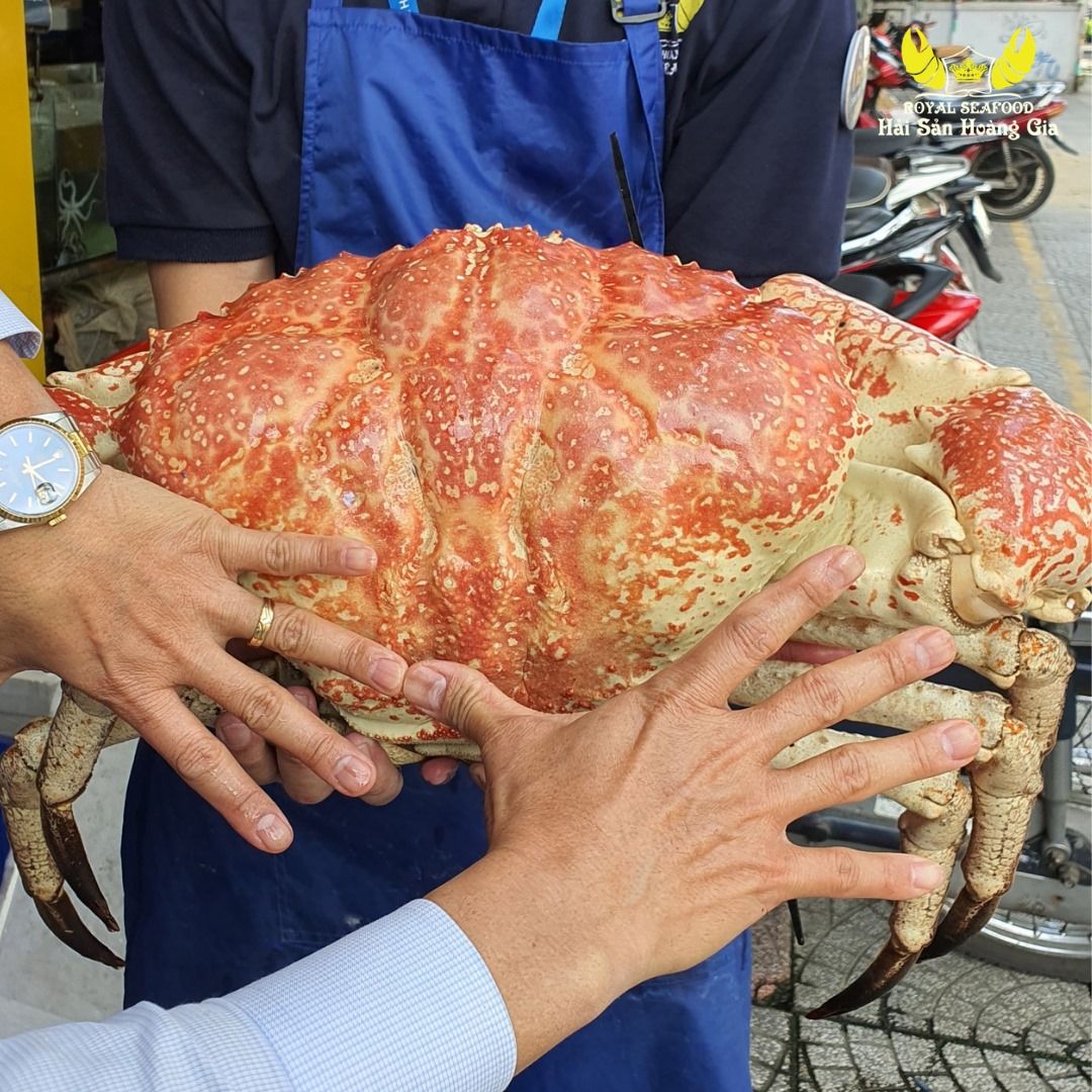 Cua Tasmania (Cua Khổng Lồ Nam Úc)