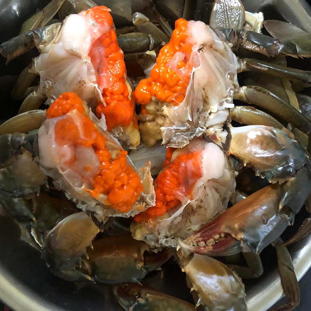 Cua Gạch Cà Mau Không Dây - Sống