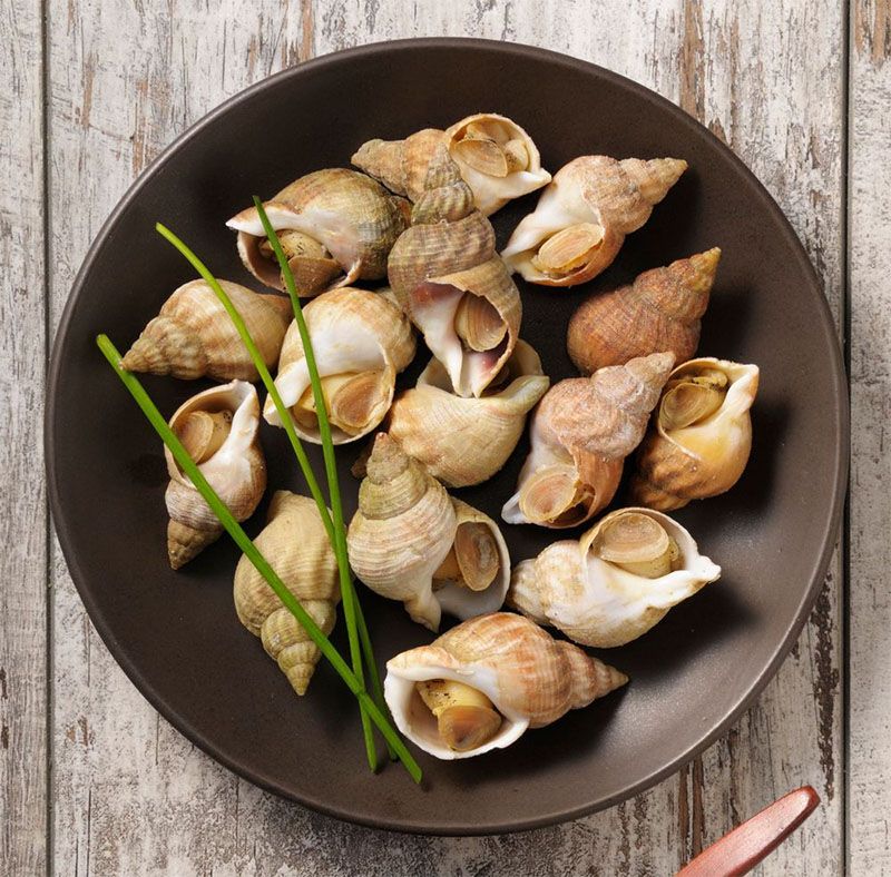 Ốc Bulot Ireland Đông Lạnh (Size 20-30 Con/Kg)