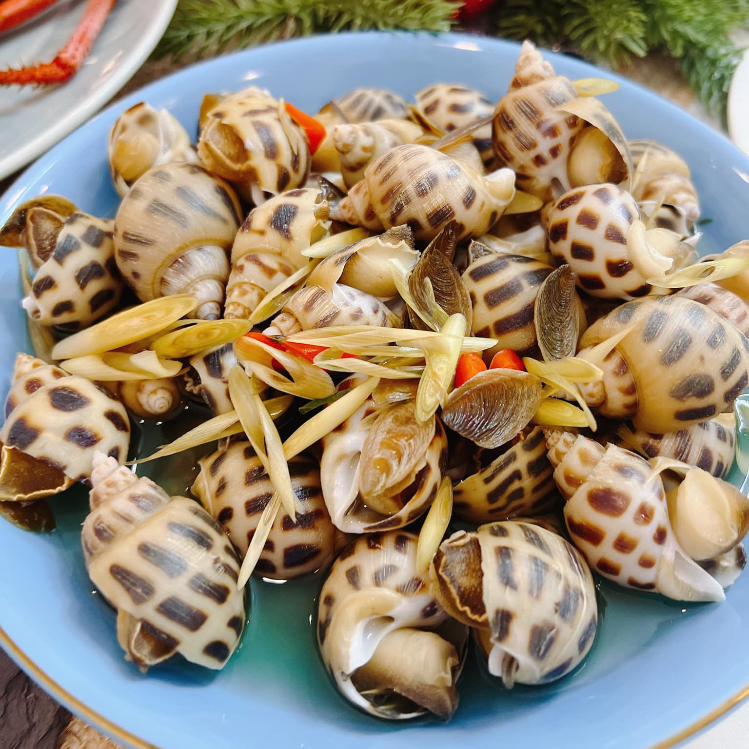 Ốc Hương Sữa (Size 50-80 Con/kg) - Sống