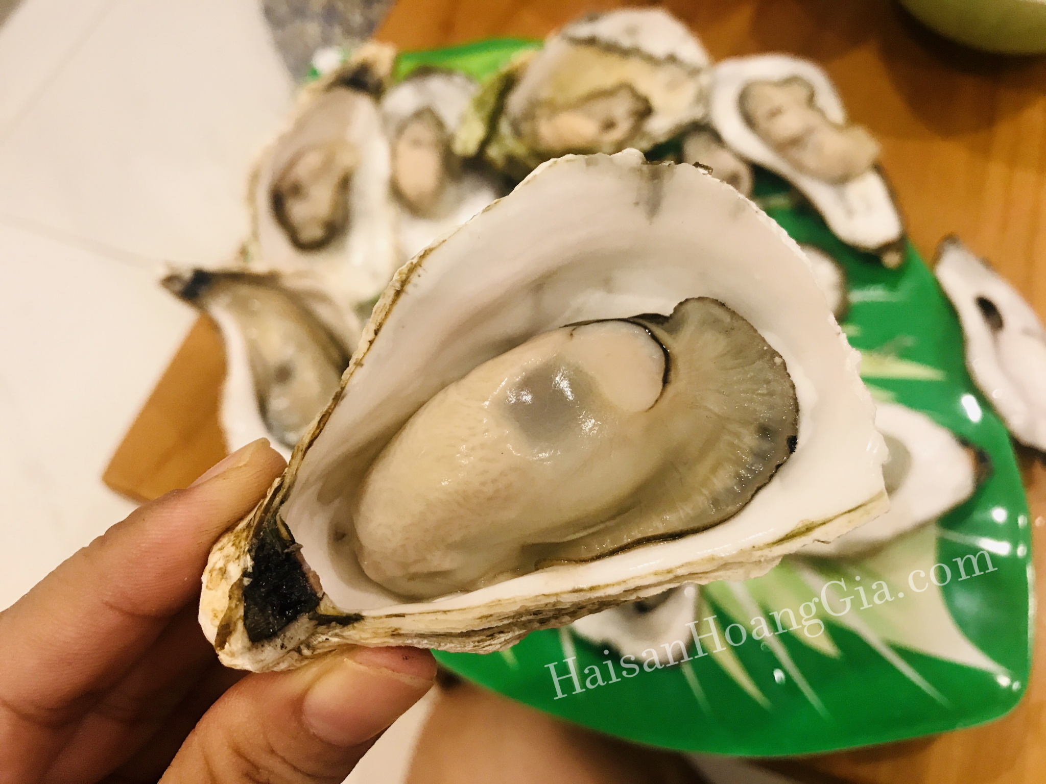 Hàu giống Pháp (con)