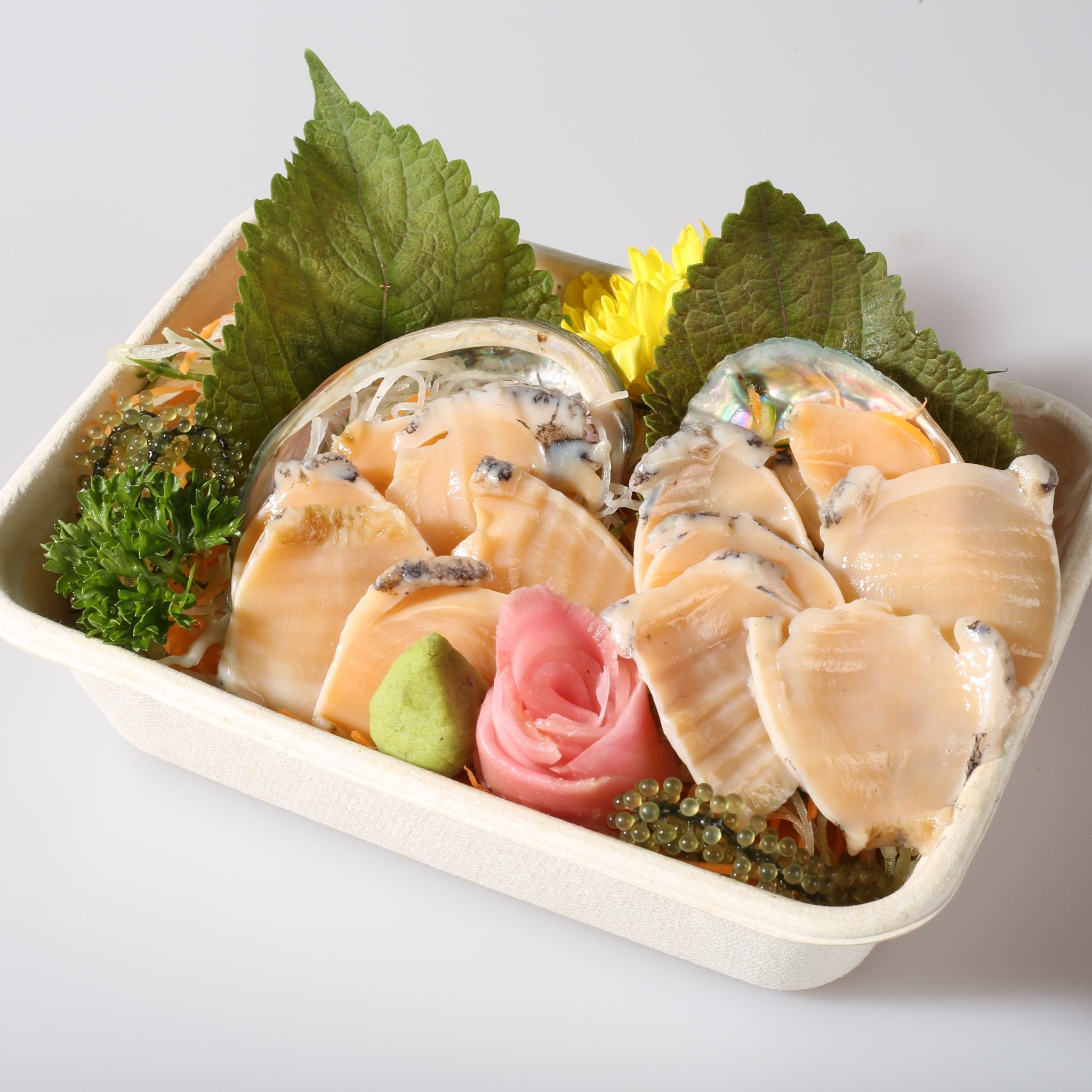 Bào Ngư Hàn Quốc - Sống