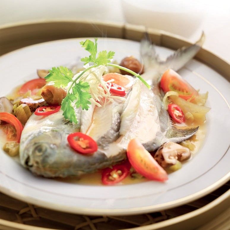 Cá Chim - Sống