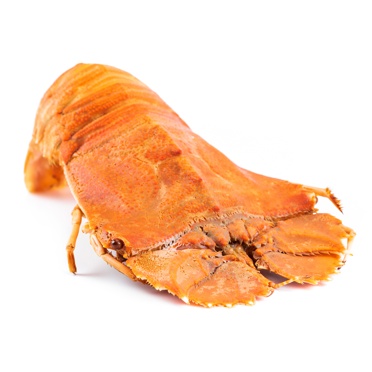 Tôm Mũ Ni Vàng
