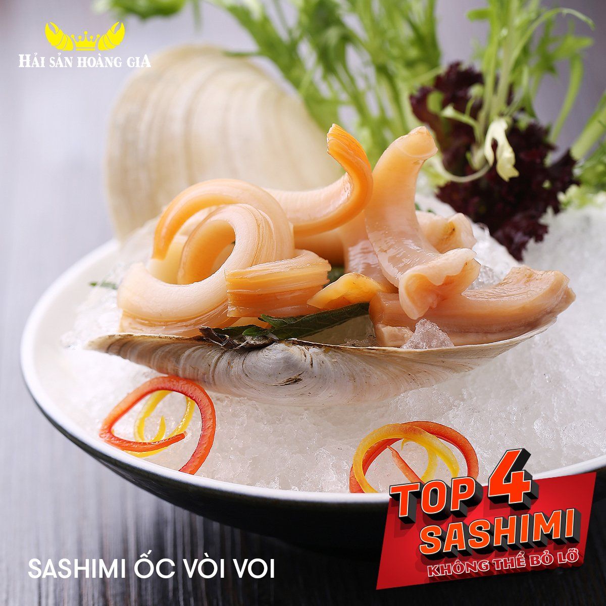 Ốc Vòi Voi - Sống