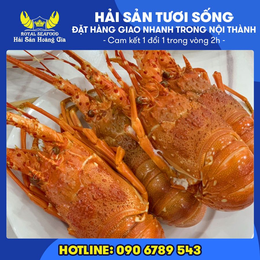  Tôm Hùm Xanh (Size Đặc Biệt) - Sống 