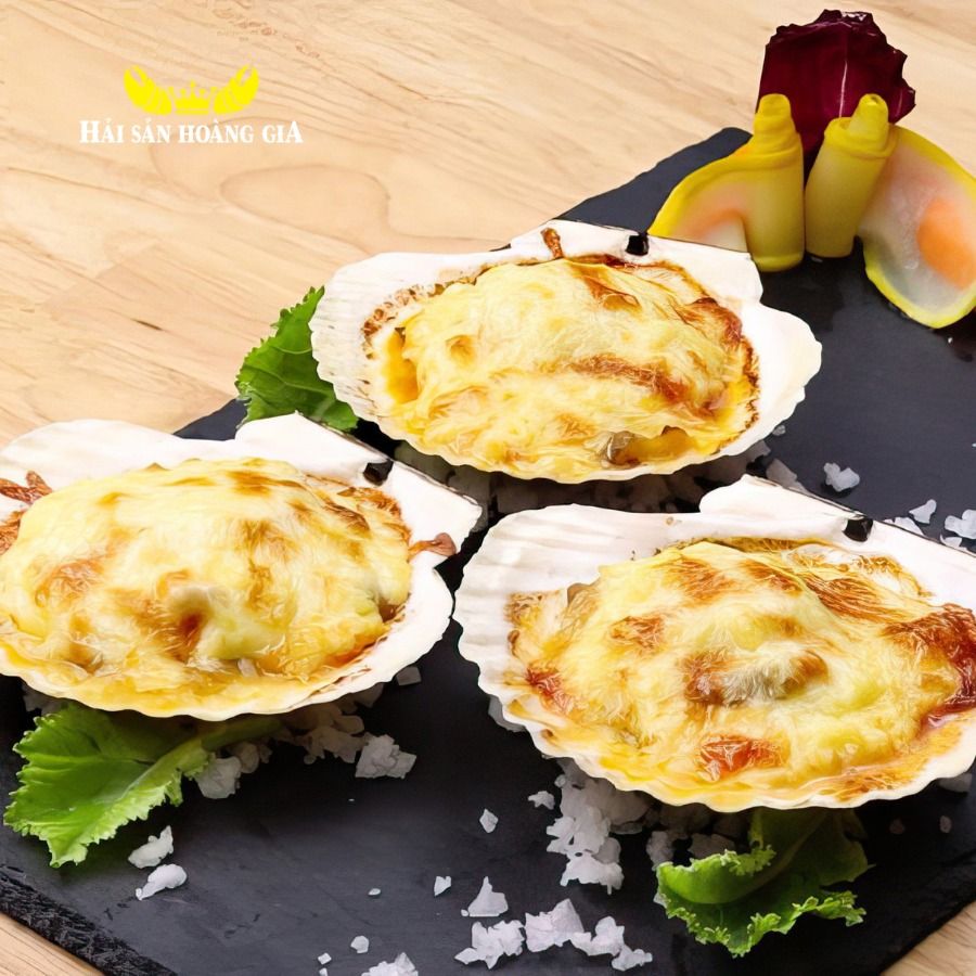 Sò Điệp Nhật - Sống