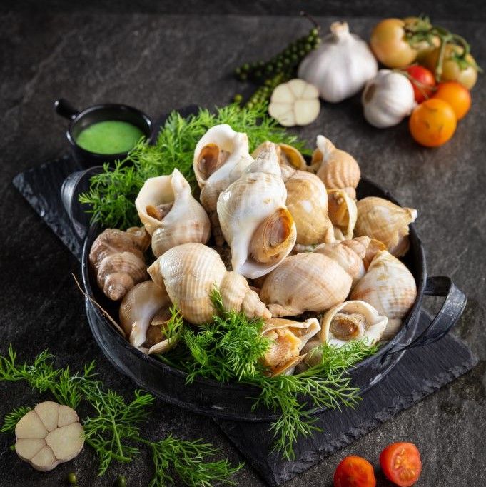 Ốc Bulot Ireland Đông Lạnh (Size 20-30 Con/Kg)
