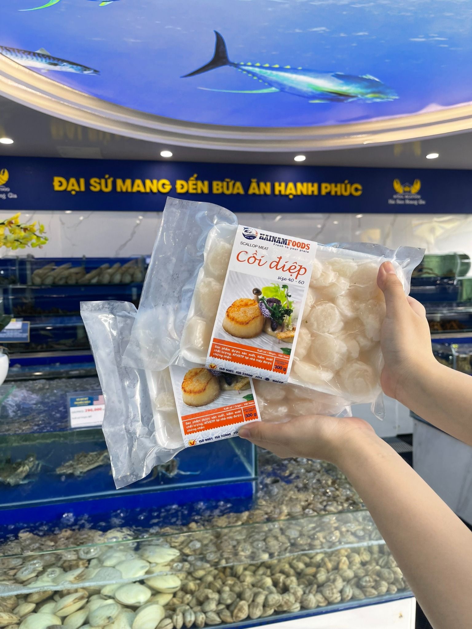  Cồi sò điệp 