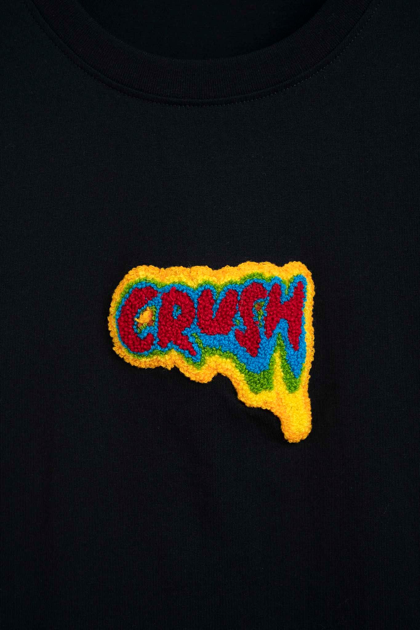 Áo Thun Nữ Regular Fit Thêu Xù Crush WTS 2240 -