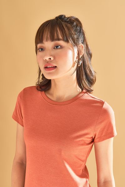 Áo Thun Nữ WTS 2035