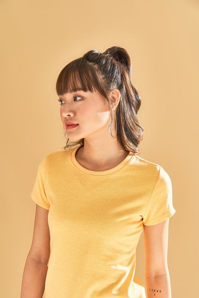 Áo Thun Nữ WTS 2035