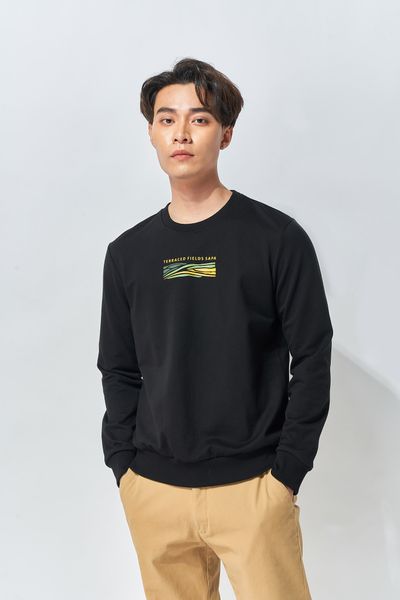 Áo Sweater Nam MSW 1001