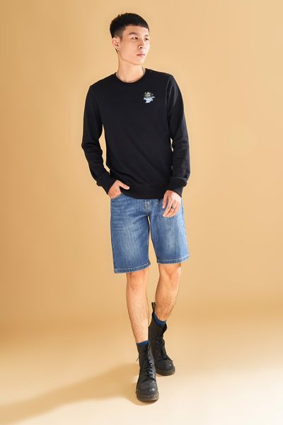 Áo Sweater Nam Logo Thêu MSW 1003