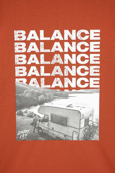 Áo Thun Nam Regular Fit In Graphic Balance Art MTS 1193