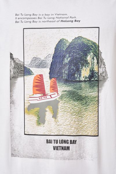 Áo Thun Nam In Hình MTS 1003