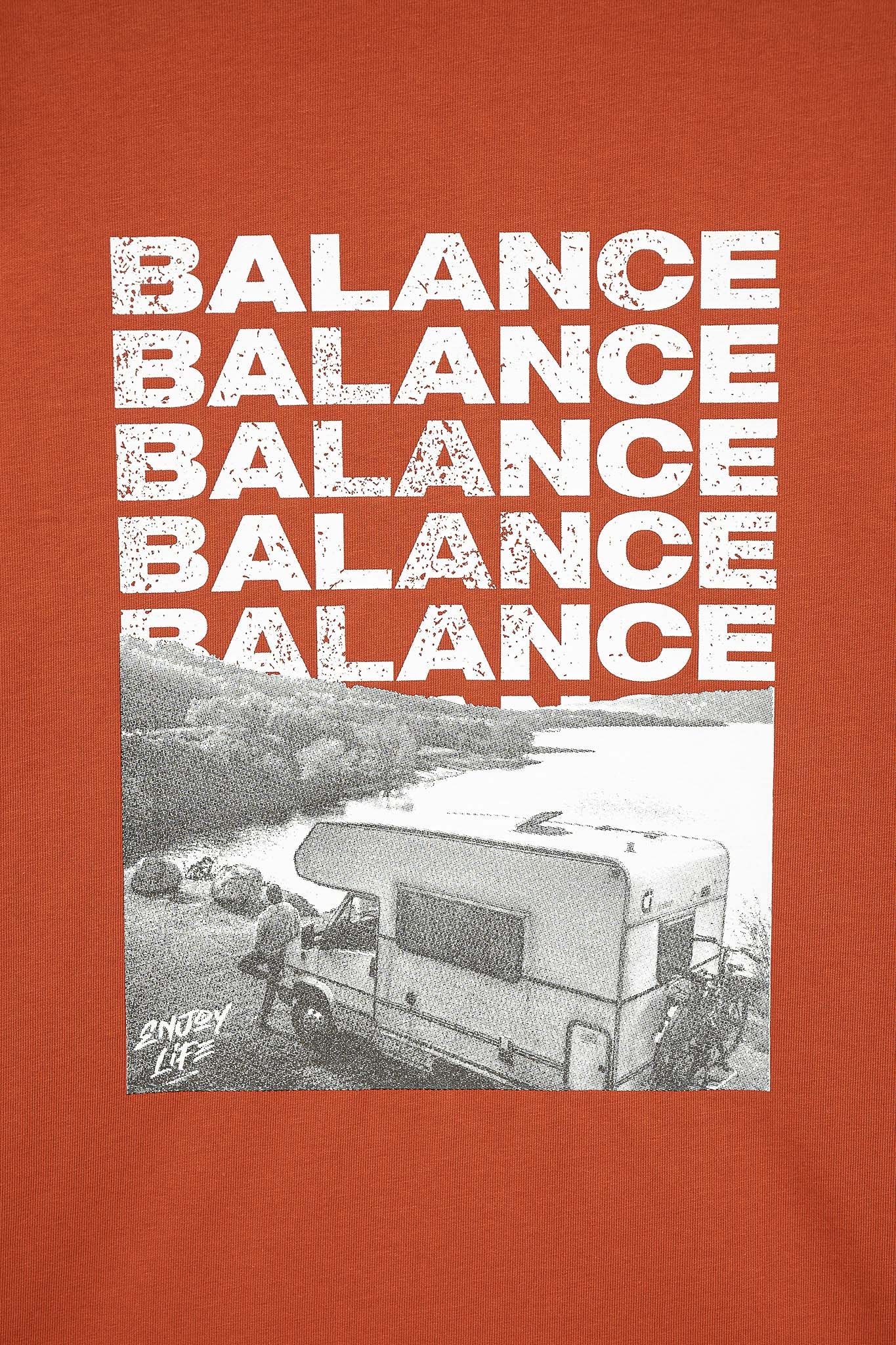 Áo Thun Nữ Regular Fit In Graphic Balance Art WTS 2193 -