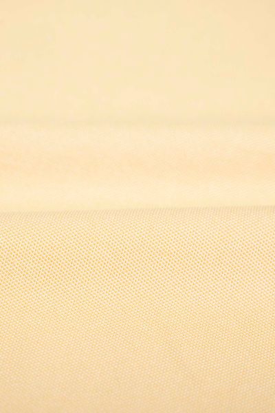 Áo Polo Nữ Slim Fit Bo Dệt Gân WPO 2017