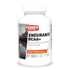 GIFT Viên Uống Hammer Nutrition Endurance BCAA+ 120 Viên