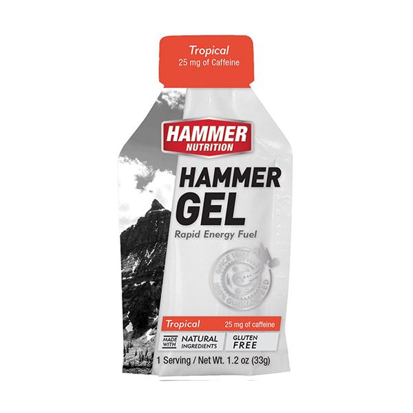 Gel Uống Bổ Sung Hammer Nutrition Hammer Gel 33g