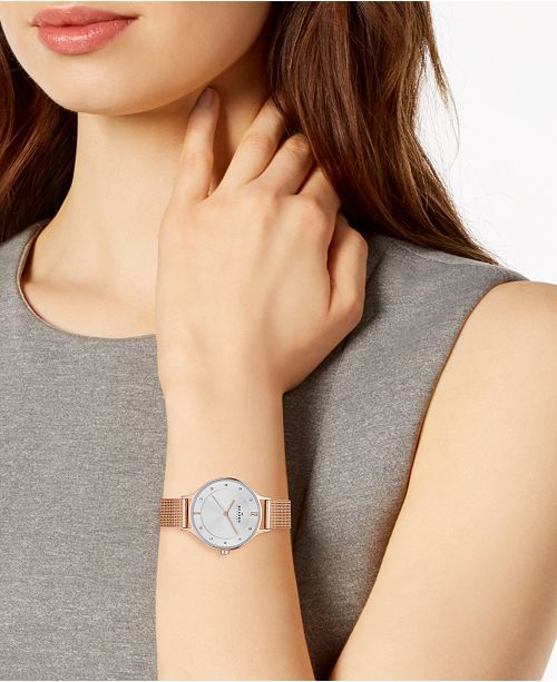 Đồng hồ nữ Skagen Anita Silver Dial Ladies Watch