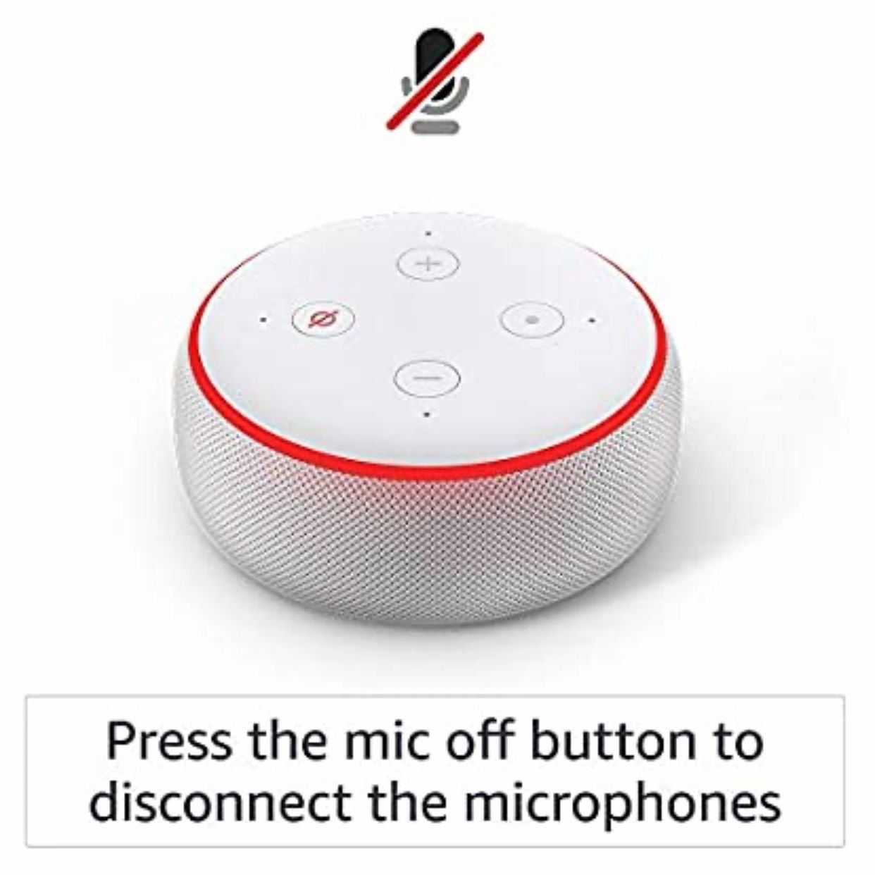 Loa thông minh Smart speaker with Alexa Heather Gray