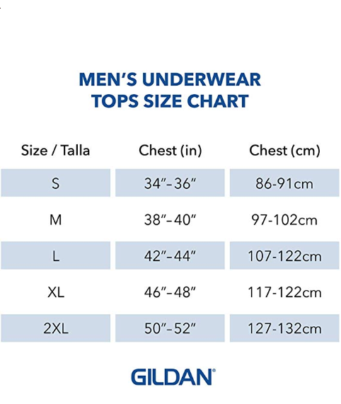 Set 5 Áo Gildan Men's Assorted V-Neck T-Shirts