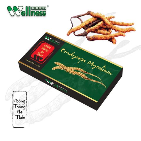  Viên Uống Cordyceps Mycelium Bổ Thận & Bổ Sung Kháng thể, Tăng Sức Đề Kháng (ĐÔNG TRÙNG HẠ THẢO) 