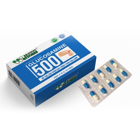  GLUCOSAMINE 500 hỗ trợ làm chậm quá trình thoái hóa khớp. 