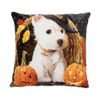 Vỏ gối sopha hình vuông 45x45 Halloween - EQ2181